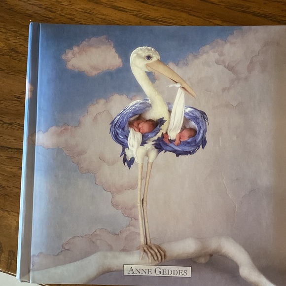 Anne Geddes photo album - Picture 2 of 5